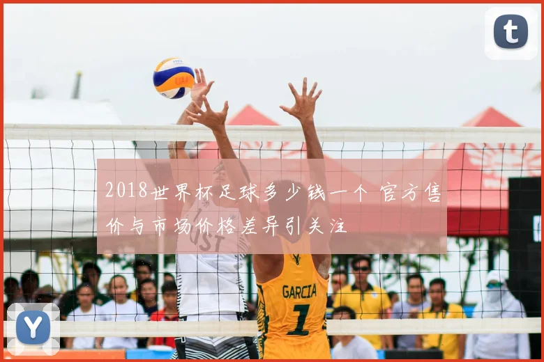 2018世界杯足球多少钱一个 官方售价与市场价格差异引关注